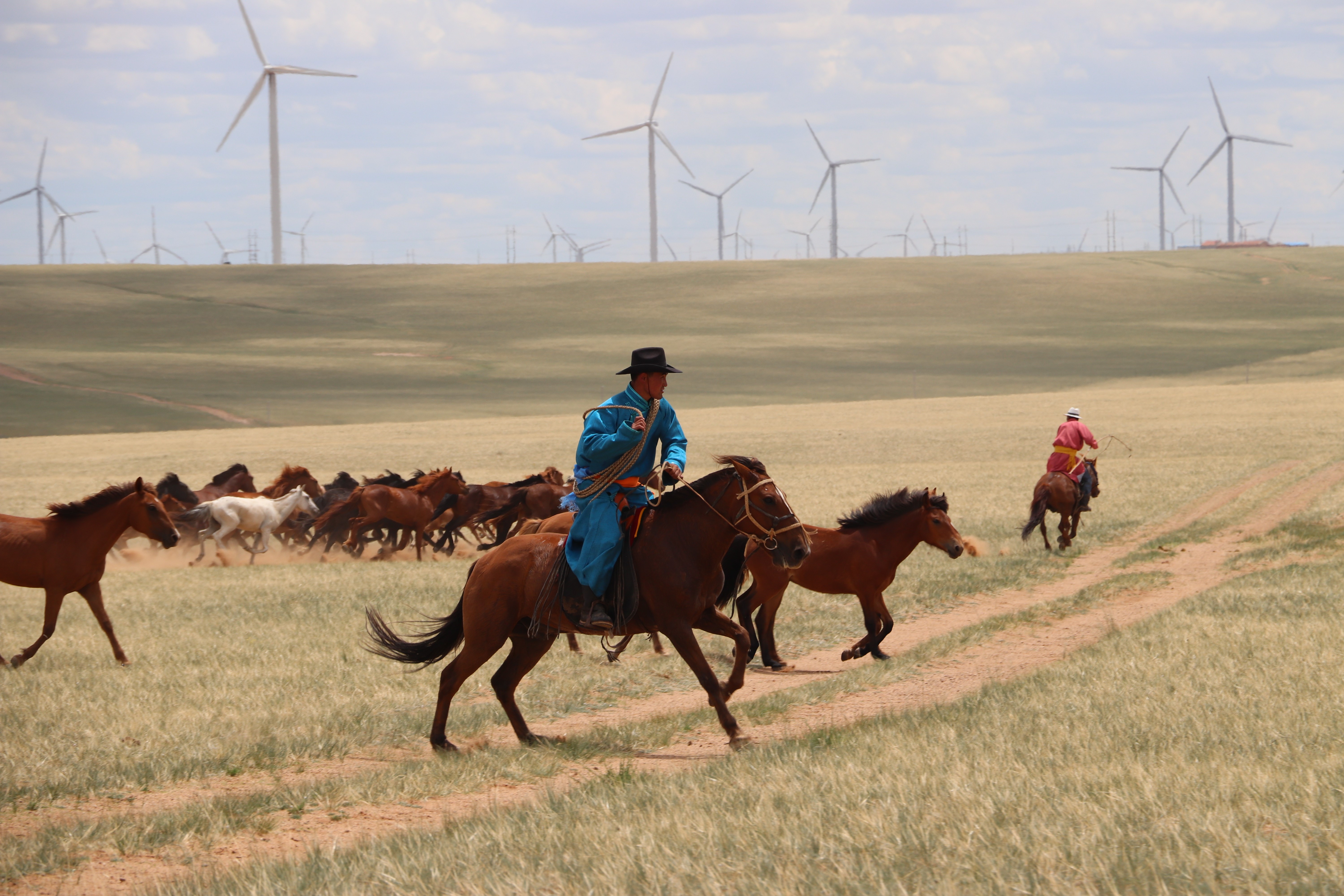 Photo of a Mongolian Horse Rider 