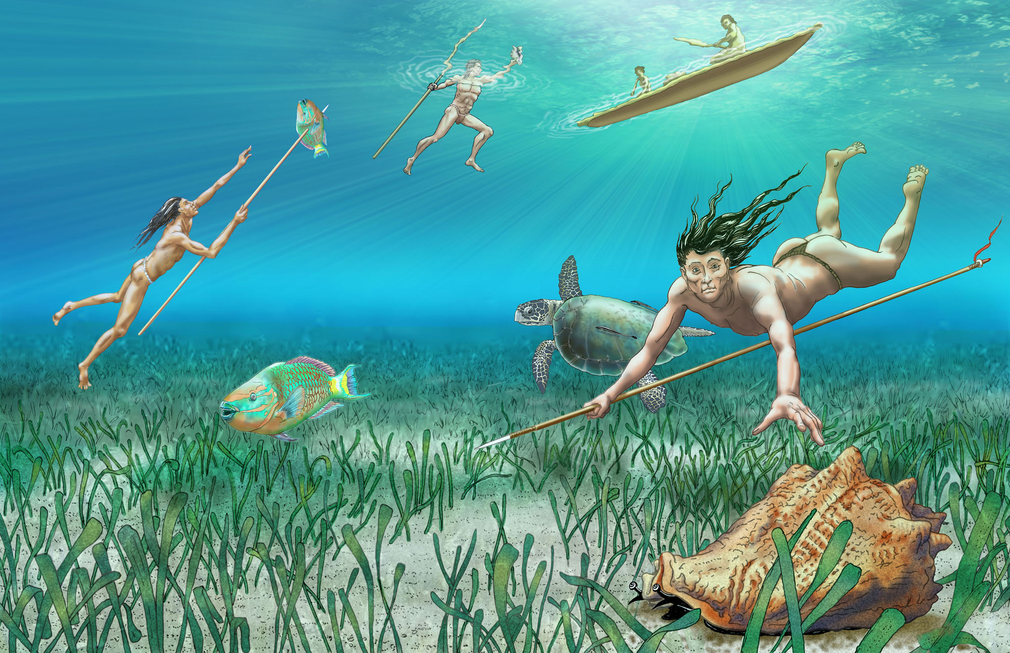 Painting of three people free diving for marine shells and fish