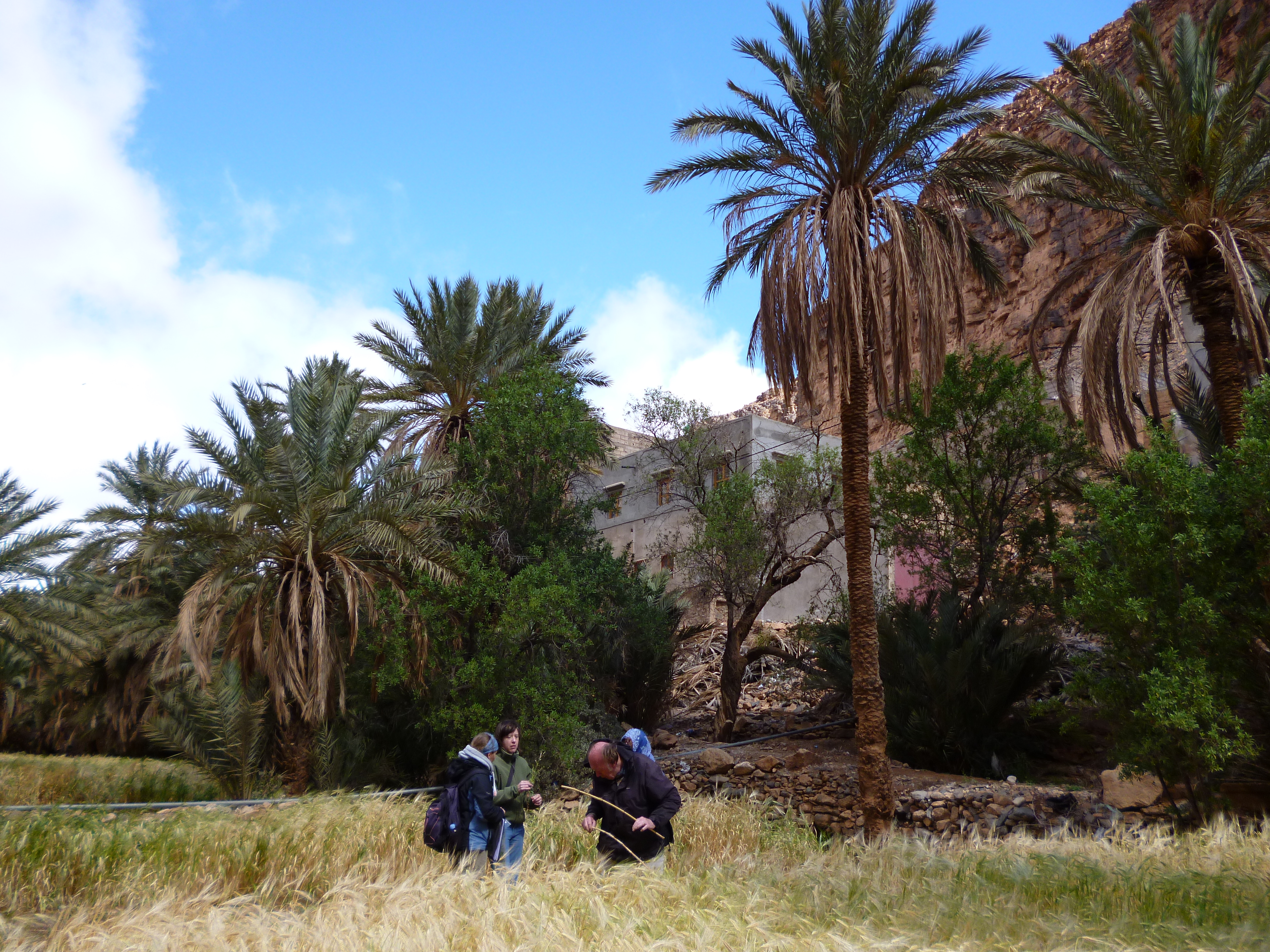 Weed survey oasis weed survey oasis