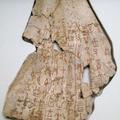 photo of an oracle bone