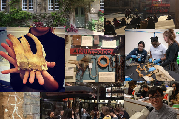 Open Day photo montage