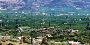 Capture photo of landscape
