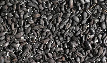 Charred charred grain