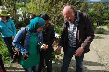 Looking at the functional attributes of weeds