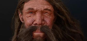 neanderthal