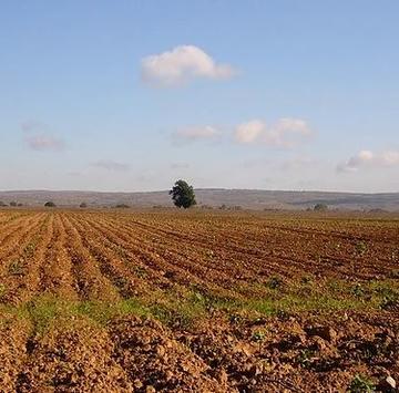 landscape in sw asia