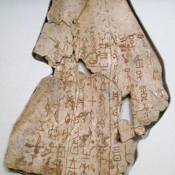 photo of an oracle bone