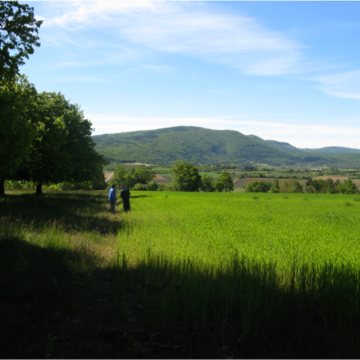 Photo of provence landscape