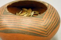 Seeds Seeds