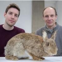 Photo of Joel and Darwins rabbit