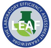 Leaf logo leaf logo