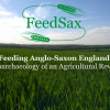 feedsax field