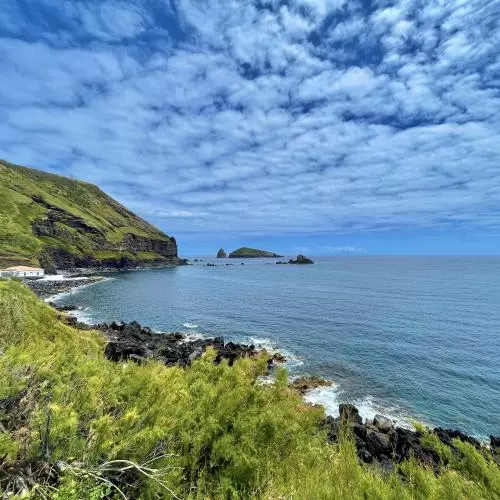 A lush green coastal path