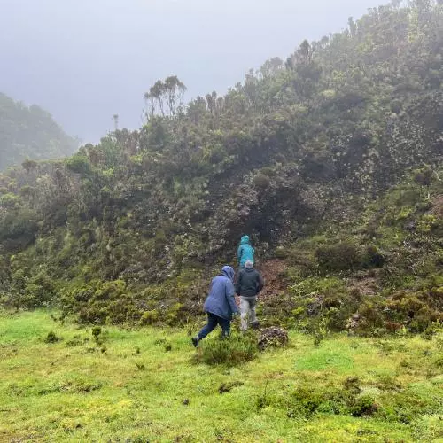 The team climb a misty mountain