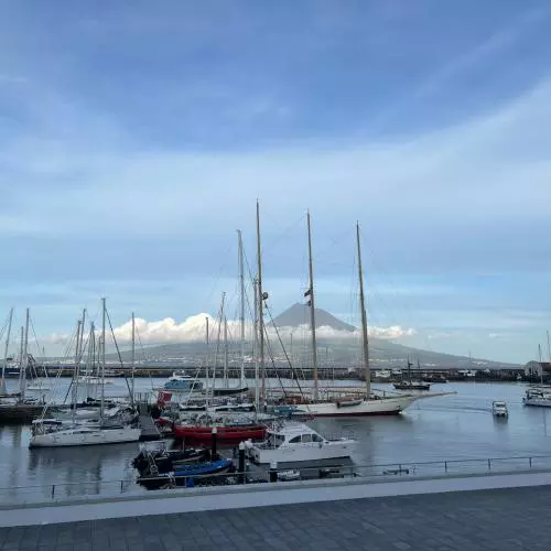 a view across a harbour filled with small boats.