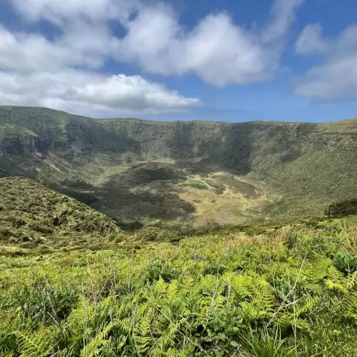 A view of the crater in lush jungle