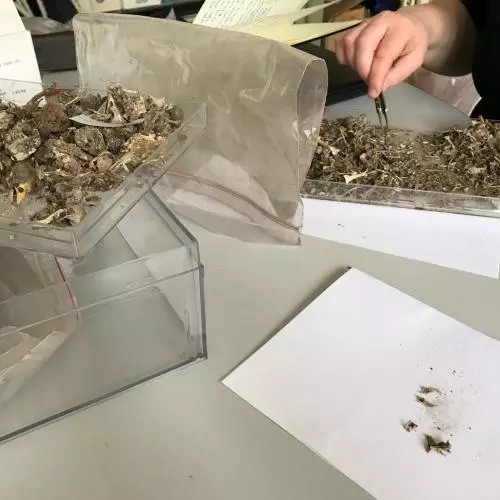 Analysing bags of archaeological samples