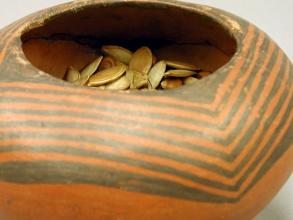 Seeds