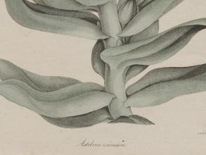 Image © Museum of Fine Arts, Boston