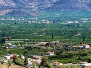 photo of landscape 