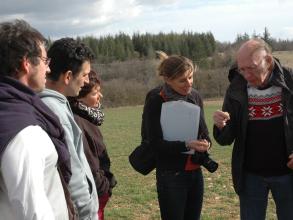 Looking at arable weeds
